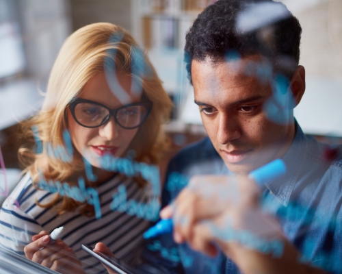 Free Website Consultation