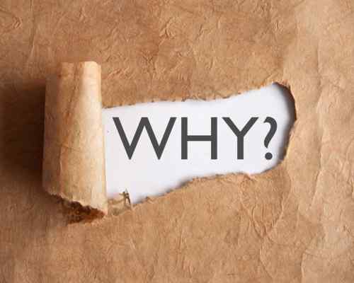 Local SEO New Orleans