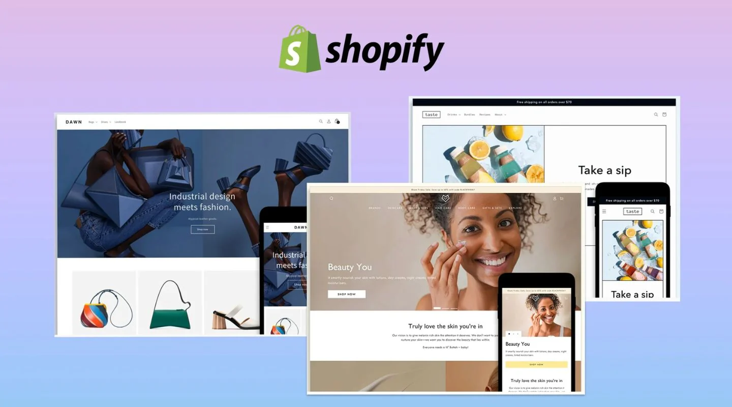 Shopify Store Traffic