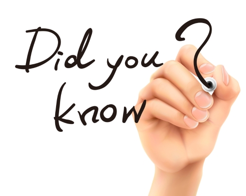 Website Planning Statistics