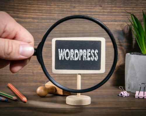 WordPress SEO Houston